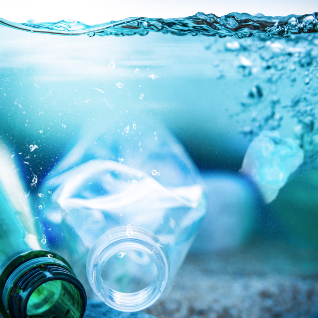 Plastic Bottel In Water